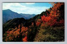 Gatlinburg TN-Tennessee, Fall in Great Smoky Mountains Park, Vintage Postcard picture