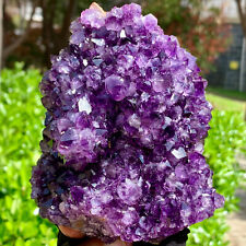 1.78LB  Very Rare Natural Amethyst Flower Cluster Specimen Healing picture