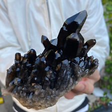 1.1lb Large Natural  Smoky Black Quartz Crystal Cluster Raw Mineral Specimen picture
