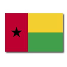 Guinea-Bissau Flag Car Magnet Decal - 4 x 6 Heavy Duty for Car Truck SUV picture