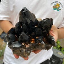 3.9lb Large Natural Black Smoky Quartz Crystal Cluster Rough Mineral Specimen picture