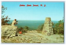 c1960 View Looking West Stokes State Forest New Jersey Antique Vintage Postcard picture
