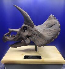 Triceratops Skull Dinosaur Replica (10Inch) NEW Mounted picture