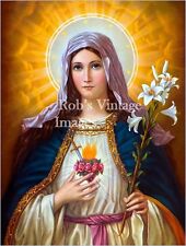 Immaculate Heart of Virgin Mary Virgen María Poster SM   picture