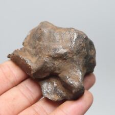 209g Gebel Kamil Iron Meteorite Space Gift A1603 picture