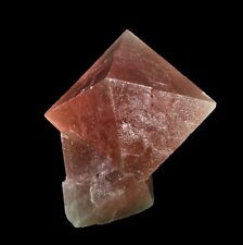 Stunning Pink Octahedral Fluorite Cluster Huanggang Mine China - 2019 Find picture