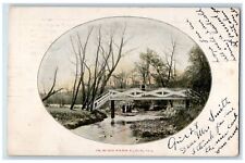 1907 In Wing Park Bridge River Lake Elgin Illinois IL Vintage Antique Postcard picture
