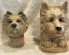 Westie head study .Two.Vintage .Rare picture