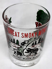 Vintage glass shot glass GREAT SMOKY MOUNTAINS picture