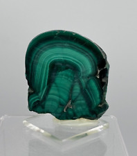 Polished MALACHITE - El Congo - MINERALS COLLECTION 6x5x1.5cms picture