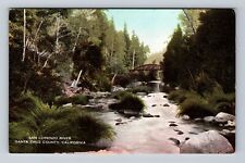 Santa Cruz CA-California, San Lorenzo River, Antique, Vintage Postcard picture