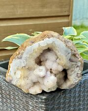 VERY RARE 5KG Agate & Druzy/Coral Quartz Geode With Golden Healer Inclusions picture