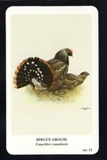 SPRUCE GROUSE 1960'S GENERAL CIGAR CO. NORTHERN BIRDS #13 NEARMINT/NM-MINT picture