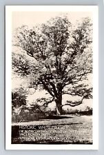 Lincoln's Birthplace KY-Kentucky RPPC, Historic White Oak, Vintage Postcard picture