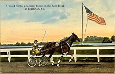 Lexington Kentucky Harness Racing Patriotic Antique Postcard c1910 picture