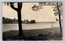 Quincy MI-Michigan, Scenic Marble Lake, Antique, Vintage Postcard picture