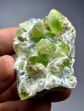 572 Cts beautiful Terminated Peridot Crystal bunch specimen from Skardu Pakistan picture