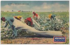 A Typical Cotton Picking Scene Arkansas Linen Unposted Postcard picture