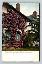 Los Angeles CA-California, Bougainvillea Vine on Residence Vintage Postcard picture