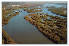 c1960 Panoramic Splendor Mighty Mississippi Winona Minnesota MN Vintage Postcard picture