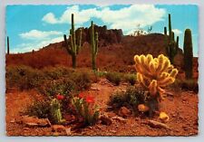 The Colorful Desert Arizona Vintage Unposted Petley Postcard picture