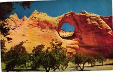 Vintage Postcard - 1953 Window Rock Arizona Located In Central Navajo Region picture