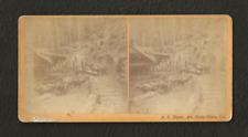 Antique Stereoviews (3) A.L. Hawes. Santa Clara, Cal. Logging Scenes picture