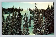 Aspen CO-Colorado, Snowmass At Aspen, Big Burn Vintage Souvenir Postcard picture