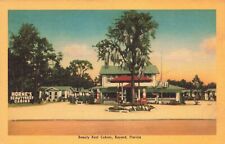 FL-Bayard, Florida-View of the Beauty Rest Cabins c1940's picture