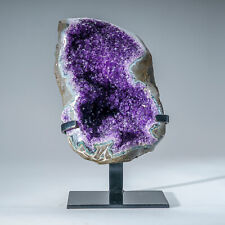 Genuine Amethyst Crystal Cluster on Stand from Uruguay (12 lbs) picture