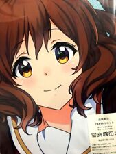 Sound Euphonium Kumiko Oumae Hugging Pillow Cover 2-Way Tricot New Japan picture