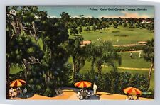 Tampa FL-Florida, Palma Ceia Golf Course and Patio, Antique Vintage Postcard picture