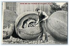 c1910s How We Do Things At Stuart Exaggerated Scene Florida FL Unposted Postcard picture
