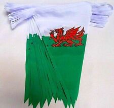 10 Metre's Wales Welsh Dragon Cymru Fabric Rugby Flag Party Bunting picture