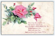 Holmes North Dakota ND Postcard Embossed Poem Flowers Leaves Scene c1910 Antique picture