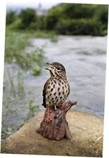 HiLine Gift Ltd. Motion Activated Singing Songbird Standing on Stump  picture