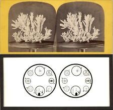 18 Stereoviews Coralle Effects 3 D Wonder Lot 1 picture