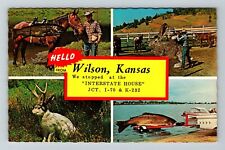 Wilson KS-Kansas, Scenic Greetings, Comic  Vintage Souvenir Postcard picture