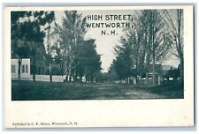 Wentworth New Hampshire Postcard High Street Exterior View c1905 Vintage Antique picture