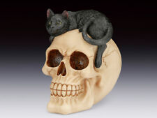 Skull with Cat on Head Figurine Statue Skeleton Halloween picture