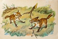 1958 Life Animals Little Foxes Playing with Branch Vintage Greeting Postcard picture