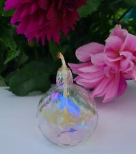 Vintage Hand Blown Globe Oil Lamp Iridescent Clear Glass with Cotton Wick picture