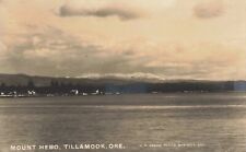 Mount Hebo from Tillamook Oregon OR Bay c1910 Real Photo RPPC picture