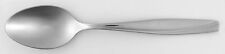 Oneida Silver Camlynn Mirror Cleo  Place Oval Soup Spoon 10634571 picture