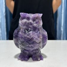 2.5LB 4.6''Natural Dream Amethyst Owl Statue Crystal Quartz Carving Healing picture