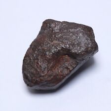 59g Unclassified chondrite, NWA meteorite B2630 picture