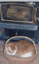 5O Photograph Cute Adorable Beloved Cat Cozy Napping In A Basket By Fireplace  picture