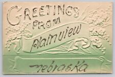 Vtg Heavily Embossed Post Card Greetings From Plainview, Nebraska H391 picture