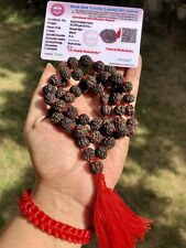 LAB CERTIFIED 5 Mukhi RUDRAKSHA Black Rudraksh Mala ROSARY 54+1 Prayer Beads picture