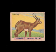 1930's Jungle Chewing Gum Card #22 Lechwe picture